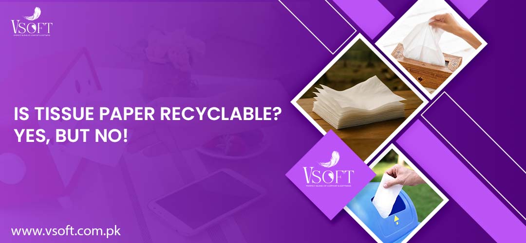 Is Tissue Paper Recyclable? Yes, But NO!